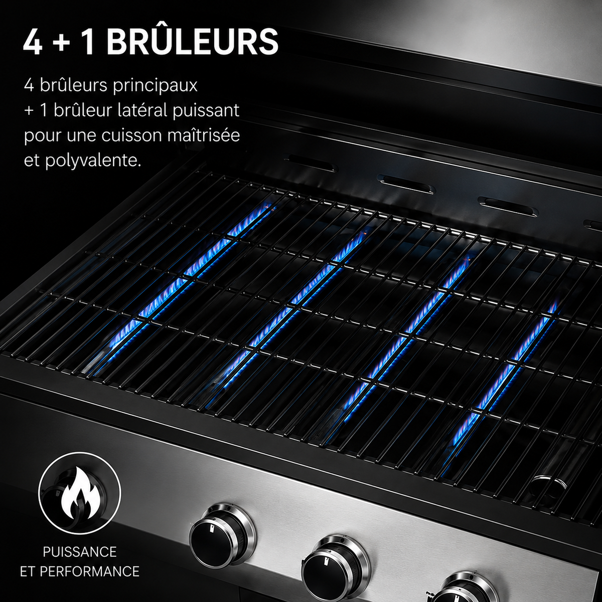Barbecue à Gaz 4+1 Brûleurs Premium